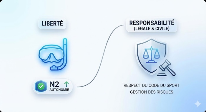 Responsabilité